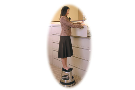 BLACKCOMB Stainless Steel Rolling Step Stool